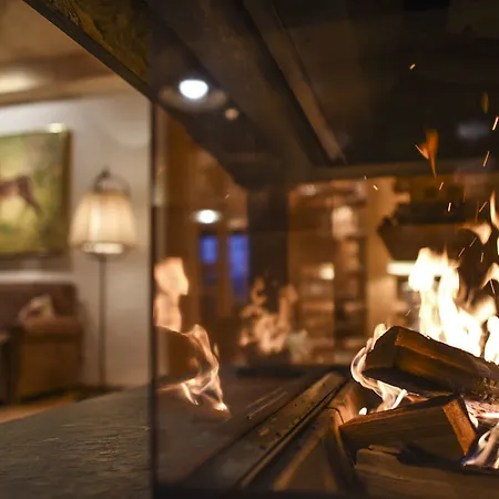 فندق Almdorf Seinerzeit