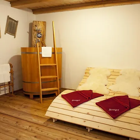 فندق Almdorf Seinerzeit 4*