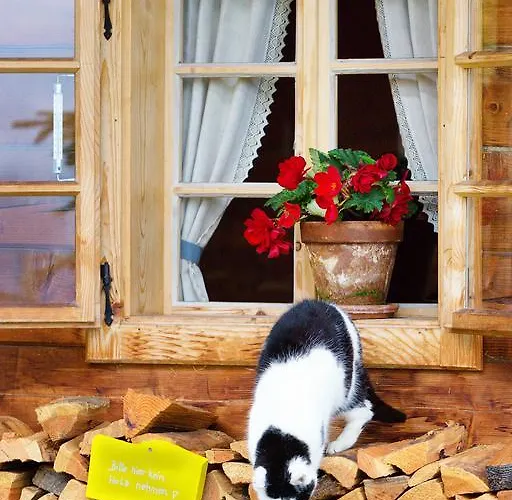 Hotel Almdorf Seinerzeit Wiedweg