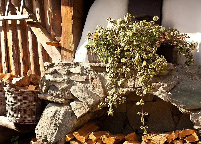 Almdorf Seinerzeit 4* Wiedweg